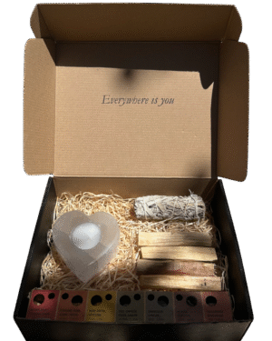 Kit Limpieza y Protección